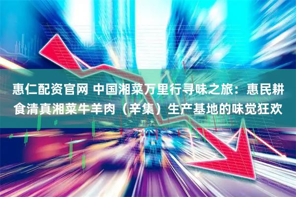 惠仁配资官网 中国湘菜万里行寻味之旅：惠民耕食清真湘菜牛羊肉（辛集）生产基地的味觉狂欢