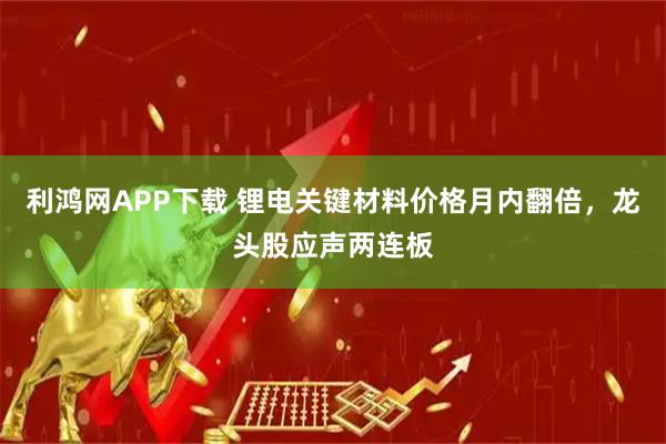 利鸿网APP下载 锂电关键材料价格月内翻倍，龙头股应声两连板