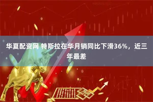 华夏配资网 特斯拉在华月销同比下滑36%，近三年最差
