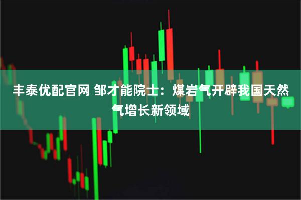 丰泰优配官网 邹才能院士:煤岩气开辟我国天然气增长新领域