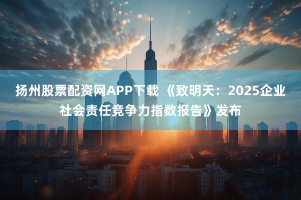 扬州股票配资网APP下载 《致明天：2025企业社会责任竞争力指数报告》发布