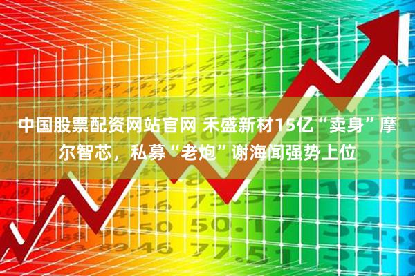中国股票配资网站官网 禾盛新材15亿“卖身”摩尔智芯，私募“老炮”谢海闻强势上位
