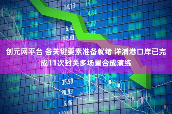 创元网平台 各关键要素准备就绪 洋浦港口岸已完成11次封关多场景合成演练