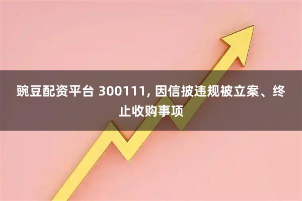 豌豆配资平台 300111, 因信披违规被立案、终止收购事项