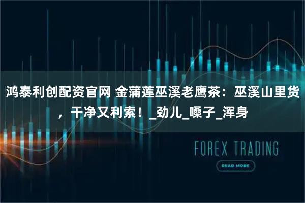 鸿泰利创配资官网 金蒲莲巫溪老鹰茶：巫溪山里货，干净又利索！_劲儿_嗓子_浑身