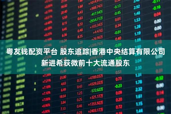 粤友钱配资平台 股东追踪|香港中央结算有限公司新进希荻微前十大流通股东