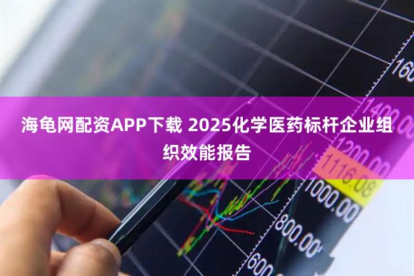 海龟网配资APP下载 2025化学医药标杆企业组织效能报告