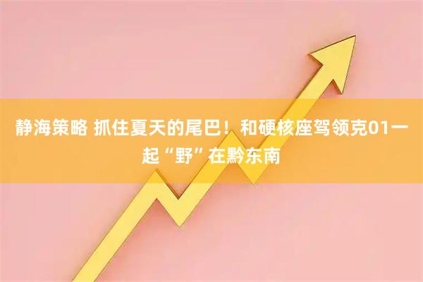 静海策略 抓住夏天的尾巴！和硬核座驾领克01一起“野”在黔东南